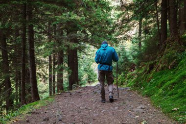 Yalnız gezgin dağlarda bir orman patikasında.