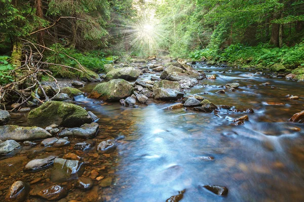 Gunung Sungai Sungai Antara Batu Dan Pohon — Stok Foto