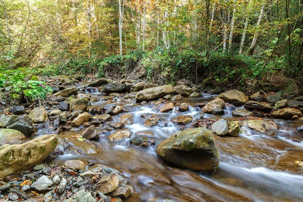 石や木の間の渓流の小川 — ストック写真