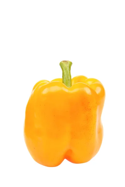 Vruchten Van Niet Scherpsmakende Peper Geïsoleerd Witte Achtergrond — Stockfoto