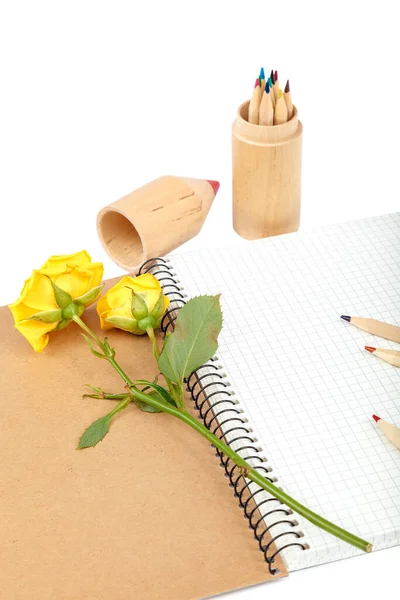 Lápis Coloridos Cadernos Flores Rosas Isoladas Sobre Fundo Branco — Fotografia de Stock