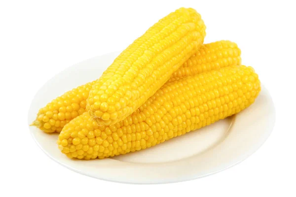 Corn Cobs Isolated White Background — Stock Photo, Image