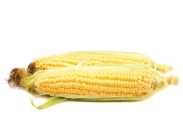 Corn Cobs Isolated White Background — Stock Photo, Image