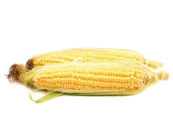Kolby Kukurydzy Izolowane Białym Tle — Zdjęcie stockowe