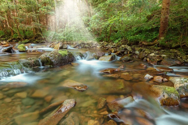 Río Montaña Arroyo Entre Piedras Árboles — Foto de Stock