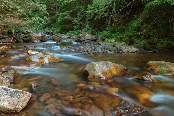 Гірська Річка Серед Каменів Дерев — стокове фото