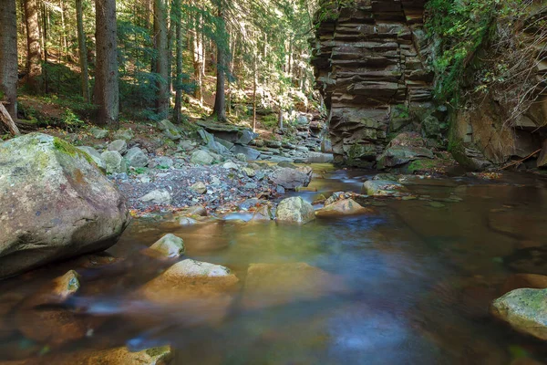 Horský Potok Mezi Kameny Stromy — Stock fotografie