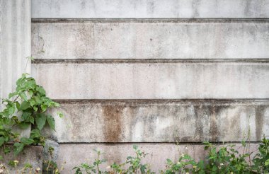 Tuğla Duvar Yeşil yapraklar