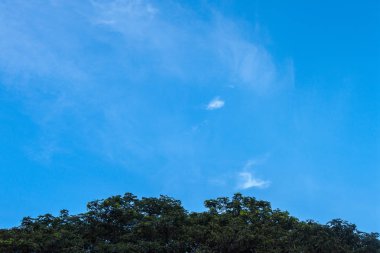 Tarım arazileri Tayland manzarası / Güzel bulutlar