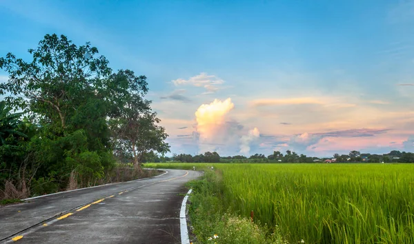 Tarım arazisi Tayland manzarası / Güzel bulutlar
