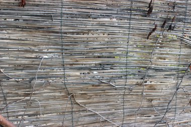 Kuru ot thatch rustik duvar dokulu arka plan