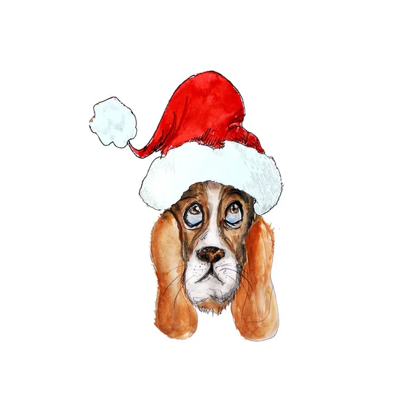 Watercolor Animals Heads with Santa hat icons — Stock Photo, Image