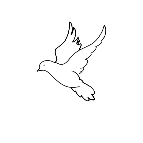 Pigeon Dove Black Line Art Drawing White Background — Stock Photo, Image