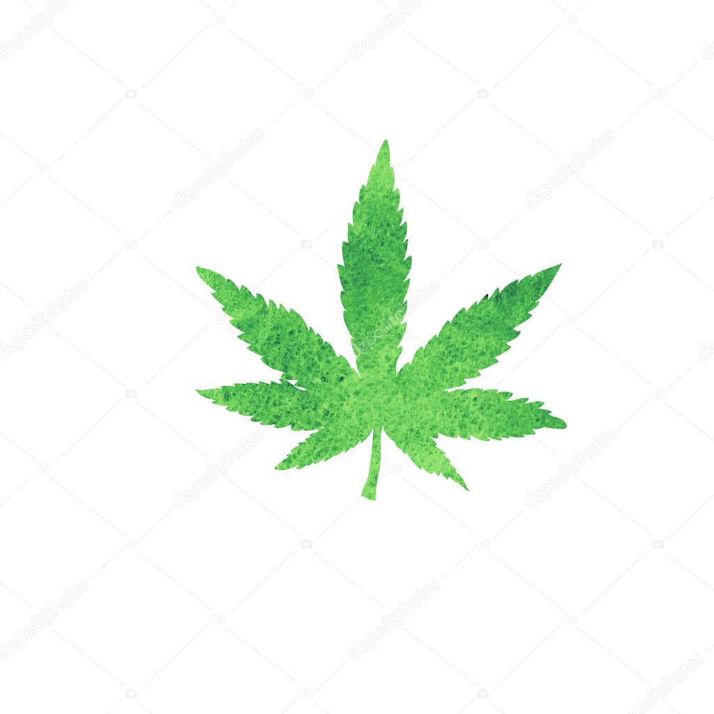 Watercolor cannabis leaf silhouette isolated on white