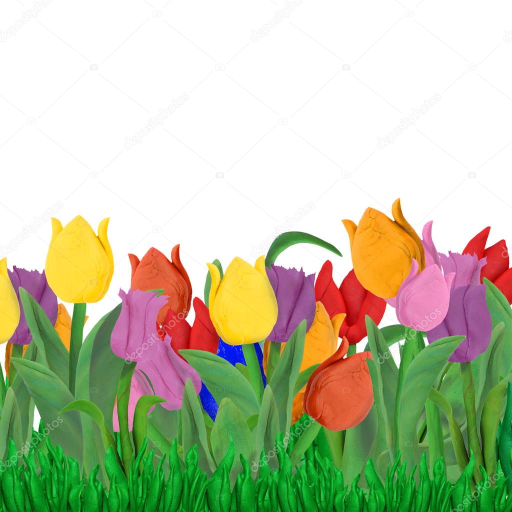 Easter Spring   greeting card template with tulips and grass border isolated on white background