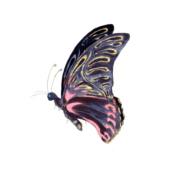 丛林夏威夷热带水彩画手绘彩绘蝴蝶图标孤立在白色背景 — 图库照片