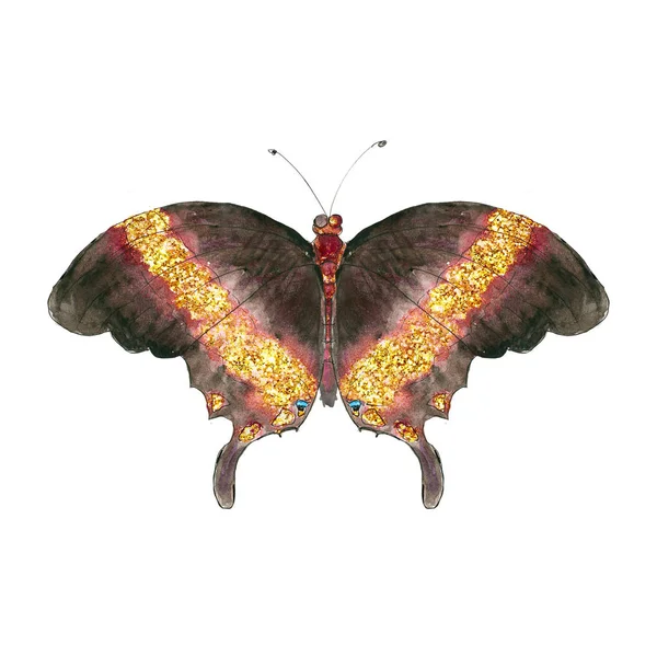 Jungle Hawaii Tropiska Akvarell Handritade Målade Färgglada Fjäril Ikon Isolerad — Stockfoto