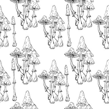 Alice Harikalar Diyarında kusursuz desen renklendirme sayfasını izole etti. 