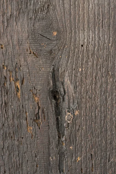 Античная текстура дерева — стоковое фото