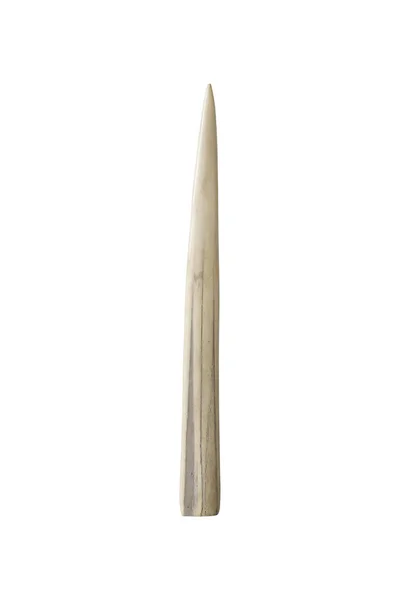 Ivory tusk på hvit bakgrunn – stockfoto