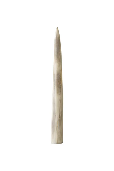 Beyaz arka plan üzerinde Fildişi tusk — Stok fotoğraf