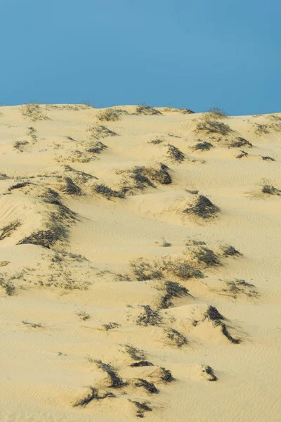 Primavera de fadas em Mui Ne, Vietnã — Fotografia de Stock