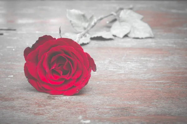 情人节那天，复古的老式过滤图像的玫瑰花背景 — 图库照片