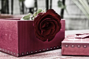 Sevgililer günü, vintage filtre görüntü için hediye kutusu ile kırmızı gül çiçek