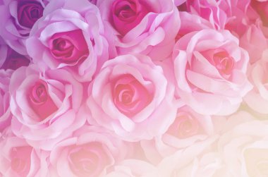 Sevgililer günü için gül çiçek arka plan