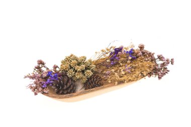 Beyaz arka plan üzerinde izole yaz renkli kuru çiçek