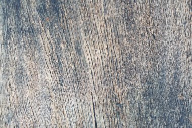 soyut doku arka plan ağaç