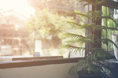 oturma odası iç ağaç doğa ile