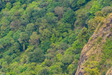 dağ alan, doğa konumu Tayland