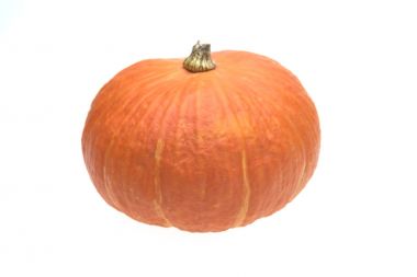 Giants pumpkin isolated on white background clipart