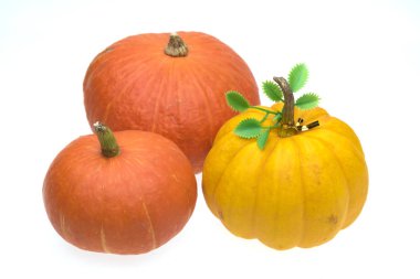 Beyaz arka plan üzerinde izole devleri kabak