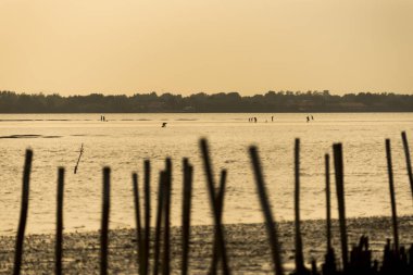 Sunset beach Tayland