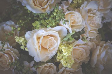 Sevgililer günü, vintage filtre görüntü için arka plan gül çiçek