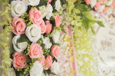 arka plan için gül çiçek