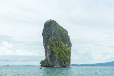 Mavi gökyüzü ile bambu ormanı