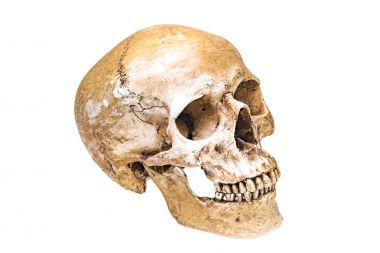 Beyaz arka plan üzerinde izole sanal gerçeklik insan kafatası