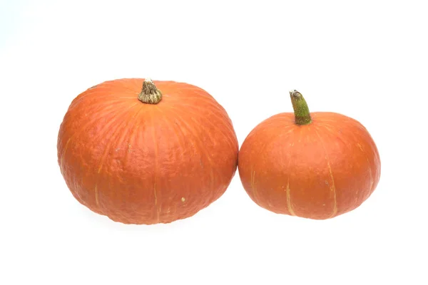 Giganti Zucca Isolato Sfondo Bianco — Foto Stock