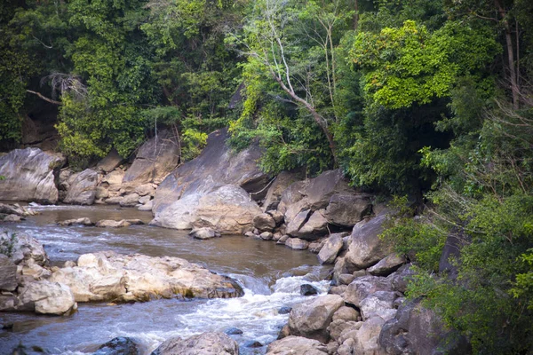 Rio Floresta Tropical Tailândia — Fotografia de Stock