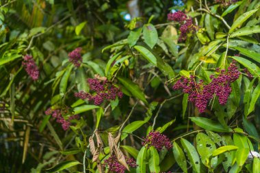 iş ekip çalışması kavramı, vintage filtre görüntü