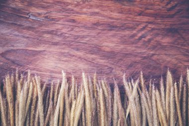 Vintage doku arka plan ağaç ve çiçek Kuru