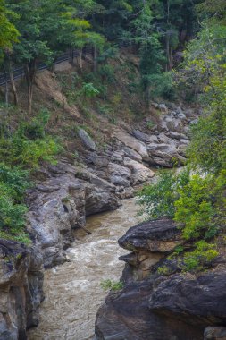 Ormandan gelen doğal akışı