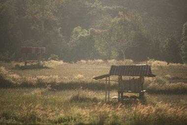 Tayland günbatımı, doğa ve orman görünümünün zaman 