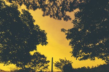 Tayland günbatımı, doğa ve orman görünümünün zaman 