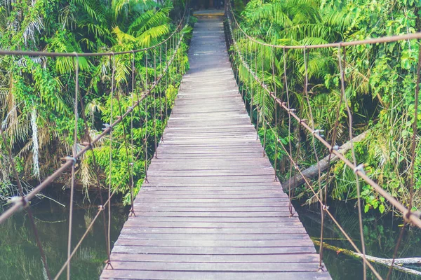 Puente Madera Bosque Concepto Naturaleza — Foto de Stock