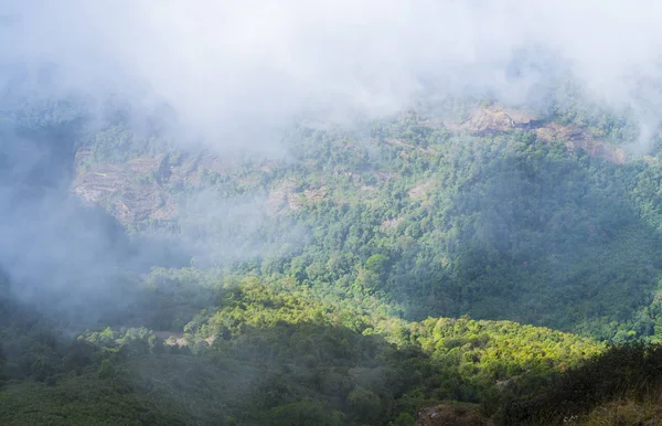 Vista Para Floresta Tropical Parque Nacional Inthanon Tailândia — Fotografia de Stock