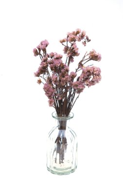 Beyaz arka plan üzerinde izole yaz renkli kuru çiçek